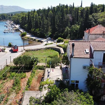 Apartman Kalac Korčula Exterior foto